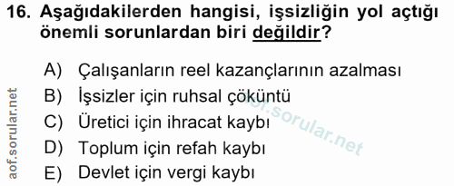 16. soru: Aşağıdakilerden hangisi, işsizliğin yol açtığı önemli sorunlardan biri değildir? A) Çalışanların reel kazançlarının a…