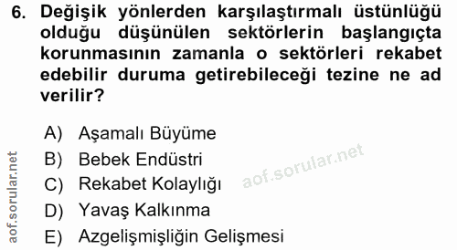 6. soru: Değişik yönlerden karşılaştırmalı üstünlüğü olduğu düşünülen sektörlerin başlangıçta korunmasının zamanla o sektörler…