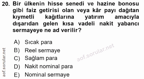 20. soru: Bir ülkenin hisse senedi ve hazine bonosu gibi faiz getirisi olan veya kår payı dağıtan kıymetli kağıtlarına yatırım…
