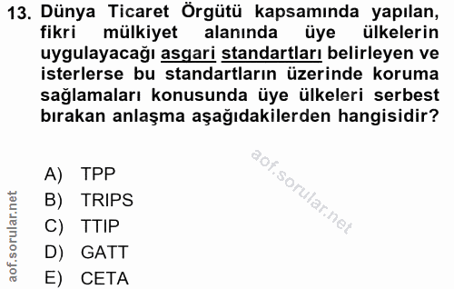 13. soru: Dünya Ticaret Örgütü kapsamında yapılan, fikri mülkiyet alaninda üye ülkelerin uygulayacağı asgari standartları belir…