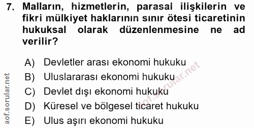 7. soru: Malların, hizmetlerin, parasal ilişkilerin ve fikri mülkiyet haklarının sınır ötesi ticaretinin hukuksal olarak düzen…