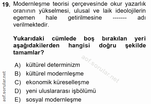 19. soru: Modernleşme teorisi çerçevesinde okur yazarlık oranının yükselmesi, ulusal ve laik ideolojilerin egemen hale getirilm…