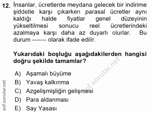 12. soru: İnsanlar, ücretlerde meydana gelecek bir indirime şiddetle karşı çıkarken parasal ücretler aynı Kaldığı halde fiyatla…