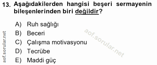 13. soru: Aşağıdakilerden hangisi beşeri sermayenin bileşenlerinden biri değildir? A) Ruh sağlığı B) Beceri C) Çalışma motivasy…
