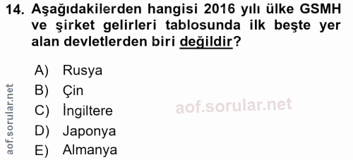 14. soru: Aşağıdakilerden hangisi 2016 yılı ülke GSMH ve şirket gelirleri tablosunda ilk beşte yer alan devletlerden biri değil…