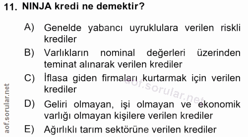 11. soru: NINJA kredi ne demektir? A) Genelde yabancı uyruklulara verilen riskli krediler B) Varlıkların nominal değerleri üzer…