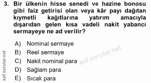 3. soru: Bir ülkenin hisse senedi ve hazine bonosu gibi faiz getirisi olan veya kâr payı dağıtan kıymetli kağıtlarına yatırım…