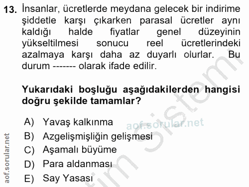 13. soru: İnsanlar, ücretlerde meydana gelecek bir indirime şiddetle karşı çıkarken parasal ücretler aynı kaldığı halde fiyatla…