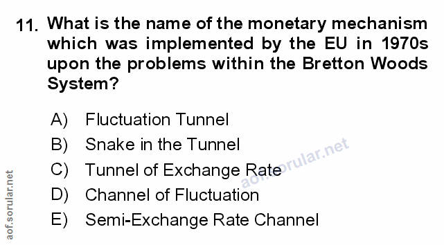 11. soru: What is the name of the monetary mechanism which was implemented by the EU in 1970s upon the problems within the Bret…