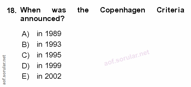18. soru: When was the Copenhagen Criteria announced? A) in 1989 B) in 1993 C) in 1995 D) in 1999 aot.so E) in 2002