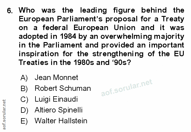 6. soru: Who was the leading figure behind the European Parliament's proposal for a Treaty on a federal European Union and it…
