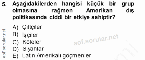 5. soru: Aşağıdakilerden hangisi küçük bir grup olmasına rağmen Amerikan dış politikasında ciddi bir etkiye sahiptir? A) Çittç…