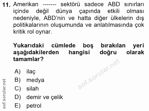 11. soru: Amerikan ---- sektörü sadece ABD sınırları içinde değil dünya çapında etkili olması nedeniyle, ABD'nin ve hatta diğer…