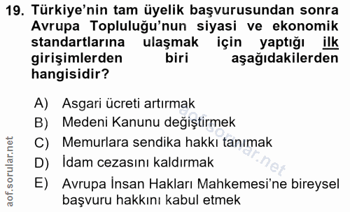 19. soru: Türkiye'nin tam üyelik başvurusundan sonra Avrupa Topluluğu'nun siyasi ve ekonomik standartlarına ulaşmak için yaptığ…