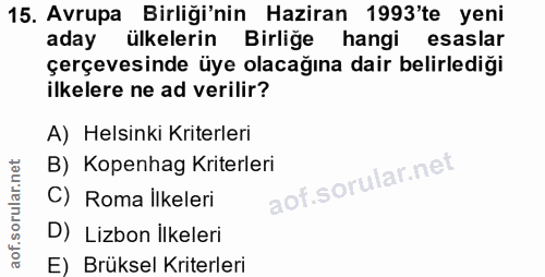 15. soru: Avrupa Birliği'nin Haziran 1993'te yeni aday ülkelerin Birliğe hangi esaslar çerçevesinde üye olacağına dair belirled…