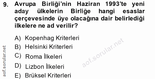 9. soru: Avrupa Birliği'nin Haziran 1993'te yeni aday ülkelerin Birliğe hangi esaslar çerçevesinde üye olacağına dair belirled…