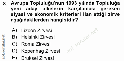 8. soru: Avrupa Topluluğu'nun 1993 yılında Topluluğa yeni aday ülkelerin karşılaması gereken siyasi ve ekonomik kriterleri ila…