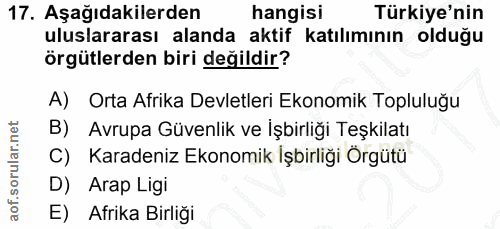 17. soru: Aşağıdakilerden hangisi Türkiye'nin uluslararası alanda aktif katılımının olduğu örgütlerden biri değildir? A) Orta A…