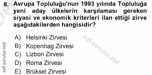 6. soru: Avrupa Topluluğu'nun 1993 yılında Topluluğa yeni aday ülkelerin karşılaması gereken siyasi ve ekonomik kriterleri ila…