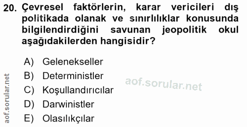 20. soru: Çevresel faktörlerin, karar vericileri dış politikada olanak ve sınırlılıklar konusunda bilgilendirdiğini savunan jeo…