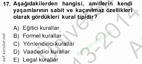 17. soru: Aşağıdakilerden hangisi, amillerin kendi yaşamlarının sabit ve kaçınılmaz özellikleri olarak gördükleri kural tipidir…