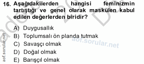 16. soru: Aşağıdakilerden hangisi feminizmin tartıştığı ve genel olarak maskülen kabul edilen değerlerden biridir? A) Duygusall…