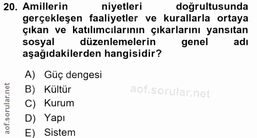 20. soru: Amillerin niyetleri doğrultusunda gerçekleşen faaliyetler ve kurallarla ortaya çıkan ve katılımcılarının çıkarlarını…