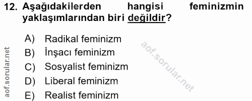 12. soru: Aşağıdakilerden hangisi feminizmin yaklaşımlarından biri değildir? A) Radikal feminizm İnşacı feminızm C) Sosyalist f…