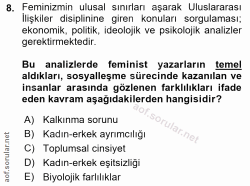 8. soru: Feminizmin ulusal sınırları aşarak Uluslararası İlişkiler disiplinine giren konuları sorgulaması; ekonomik, politik,…