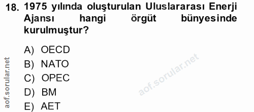18. soru: 1975 yılında oluşturulan Uluslararası Enerji Ajansı hangi örgüt bünyesinde kurulmuştur? A) OECD B) NATO C) OPEC D) BM…