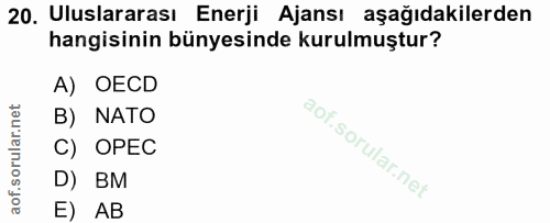 20. soru: Uluslararası Enerji Ajansı aşağıdakilerden hangisinin bünyesinde kurulmuştur? A) OECD B) NATO C) OPEC D) BM E) AB