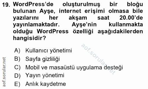 19. soru: WordPress' de oluşturulmuş bir bloğu bulunan Ayşe, internet erişimi olmasa bile yazılarını her akşam saat 20.00'de ya…