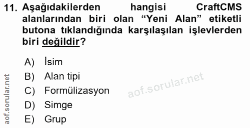 11. soru: Aşağıdakilerden hangisi CraftCMS alanlarından biri olan "Yeni Alan" etiketli butona tıklandığında karşılaşılan işlevl…