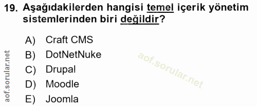 19. soru: Aşağıdakilerden hangisi temel içerik yönetim sistemlerinden biri değildir? A) Craft CMS B) DotNetNuke C) Drupal D) Mo…