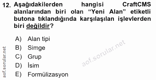 12. soru: Aşağıdakilerden hangisi CraftCMS alanlarından biri olan "Yeni Alan" etiketli butona tıklandığında karşılaşılan işlevl…