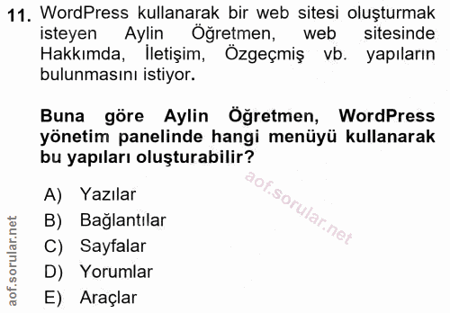 11. soru: WordPress kullanarak bir web sitesi oluşturmak isteyen Aylin Öğretmen, web sitesinde Hakkımda, iletişim, Ozgeçmiş vb.…