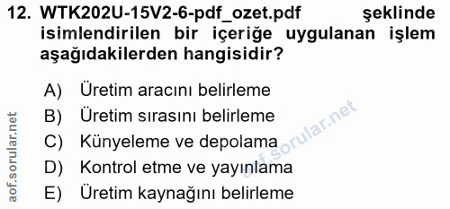 12. soru: WTK202U-15V2-6-pdf_ozet.pdf şeklinde isimlendirilen bir içeriğe uygulanan işlem aşağıdakilerden hangisidir? A) Üretim…