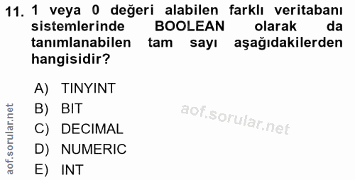 11. soru: 1 veya 0 değeri alabilen farklı veritabanı sistemlerinde BOOLEAN olarak da tanımlanabilen tam sayı aşağıdakilerden ha…