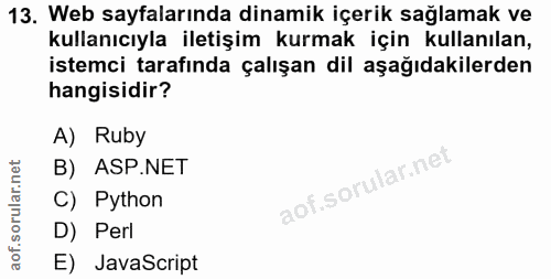 13. soru: Web sayfalarında dinamik içerik sağlamak ve kullanıcıyla iletişim kurmak için kullanılan, istemci tarafında çalışan d…