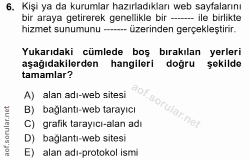 6. soru: Kişi ya da kurumlar hazırladıkları web sayfalarını bir araya getirerek genellikle bir ----- ile birlikte hizmet sunum…