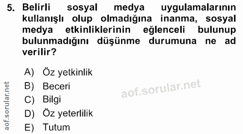 5. soru: Belirli sosyal medya uygulamalarının kullanışlı olup olmadığına inanma, sosyal medya etkinliklerinin eğlenceli bulunu…