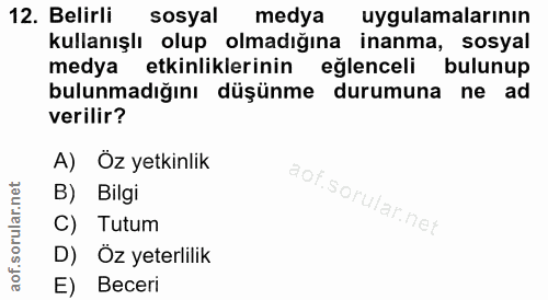 12. soru: Belirli sosyal medya uygulamalarının kullanışlı olup olmadığına inanma, sosyal medya etkinliklerinin eğlenceli bulunu…
