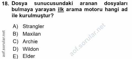 18. soru: Dosya sunucusundaki aranan dosyaları bulmaya yarayan ilk arama motoru hangi ad ile kurulmuştur? A) Strangler B) Maxil…