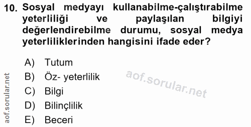 10. soru: Sosyal medyayı kullanabilme-çalıştırabilme yeterliliği ve paylaşılan bilgiyi değerlendirebilme durumu, sosyal medya y…