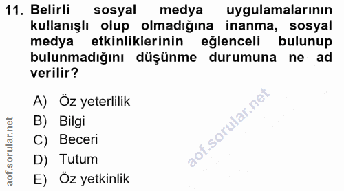 11. soru: Belirli sosyal medya uygulamalarının kullanışlı olup olmadığına inanma, sosyal medya etkinliklerinin eğlenceli bulunu…