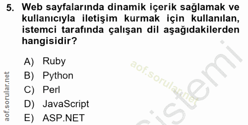 5. soru: Web sayfalarında dinamik içerik sağlamak ve kullanıcıyla iletişim kurmak için kullanılan, istemci tarafında çalışan d…
