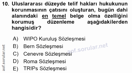 10. soru: Uluslararası düzeyde telif hakları hukukunun korunmasının çatısını oluşturan, bugün dahi alanındaki en temel belge ol…
