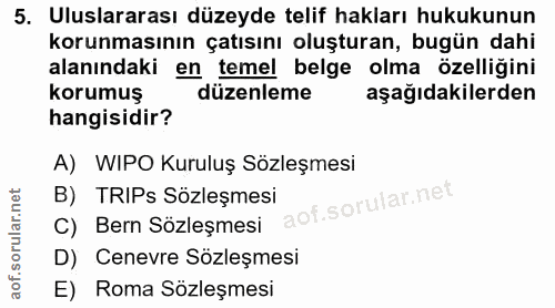 5. soru: Uluslararası düzeyde telif hakları hukukunun korunmasının çatısını oluşturan, bugün dahi alanındaki en temel belge ol…