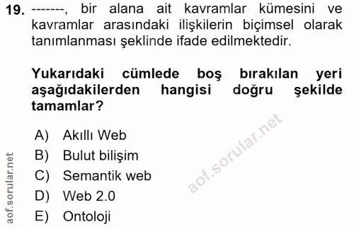 19. soru: -, bir alana ait kavramlar kümesini ve kavramlar arasındaki ilişkilerin biçimsel olarak tanımlanması şeklinde ifade e…