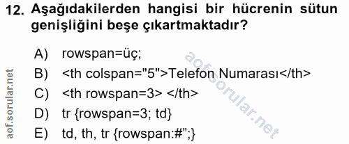12. soru: Aşağıdakilerden hangisi bir hücrenin sütun genişliğini beşe çıkartmaktadır? A) rowspan=üç; ‹th colspan="5">Telefon Nu…